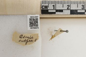 Media type: image;   Entomology 788875 Aspect: Labels